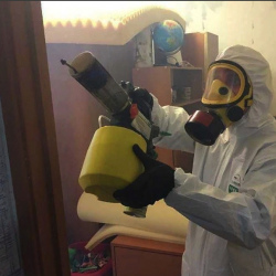 Уничтожение клопов в квартире. Замоскворечье